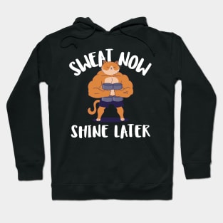 sweat now shine later Hoodie